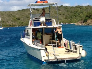 Blue Water Divers BVI: where Bryson and Erica got their PADI SCUBA certification.