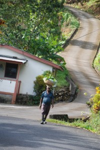 driving through the hillsides of beautiful Dominica