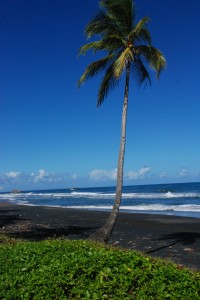 volcanic black sand beach