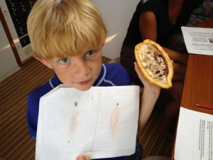 the kids draw the cacao bean