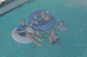 The kids swimming and playing under Anything Goes