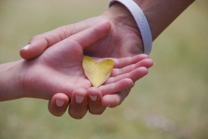 A heart-shaped leaf on our Valentine's Day hike