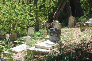 I was so moved by this old cemetary that we came upon in the middle of the woods.  Some dated back to the late 1700's.