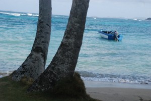pretty Bequia scenes included for your viewing pleasure, since I deleted the offending photograph....