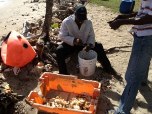 cleaning the day's catch