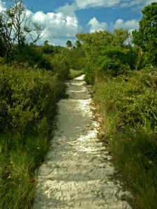 Walking the path to our lobster bbq