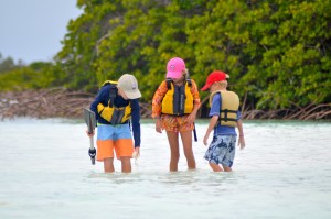 standing in the shallows by the mangroves