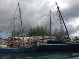 look at the masts and booms, which are rough hewn tree trunks.