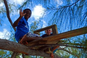 Bryson and his new buddy up in a tree, eating lunch.
