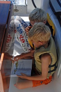 Bryson and Porter check the fish book for facts about our latest catch.