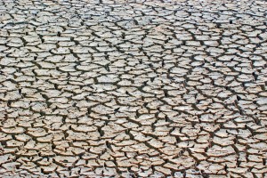 mud flats in the Great Inagua National Park