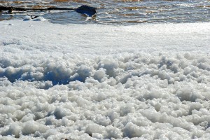 the beaches along the salt ponds are crusted in salt