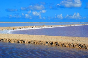 Salt is moved from section to section as the salt content rises.