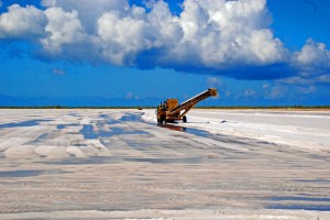 The trucks scooping up the salt.