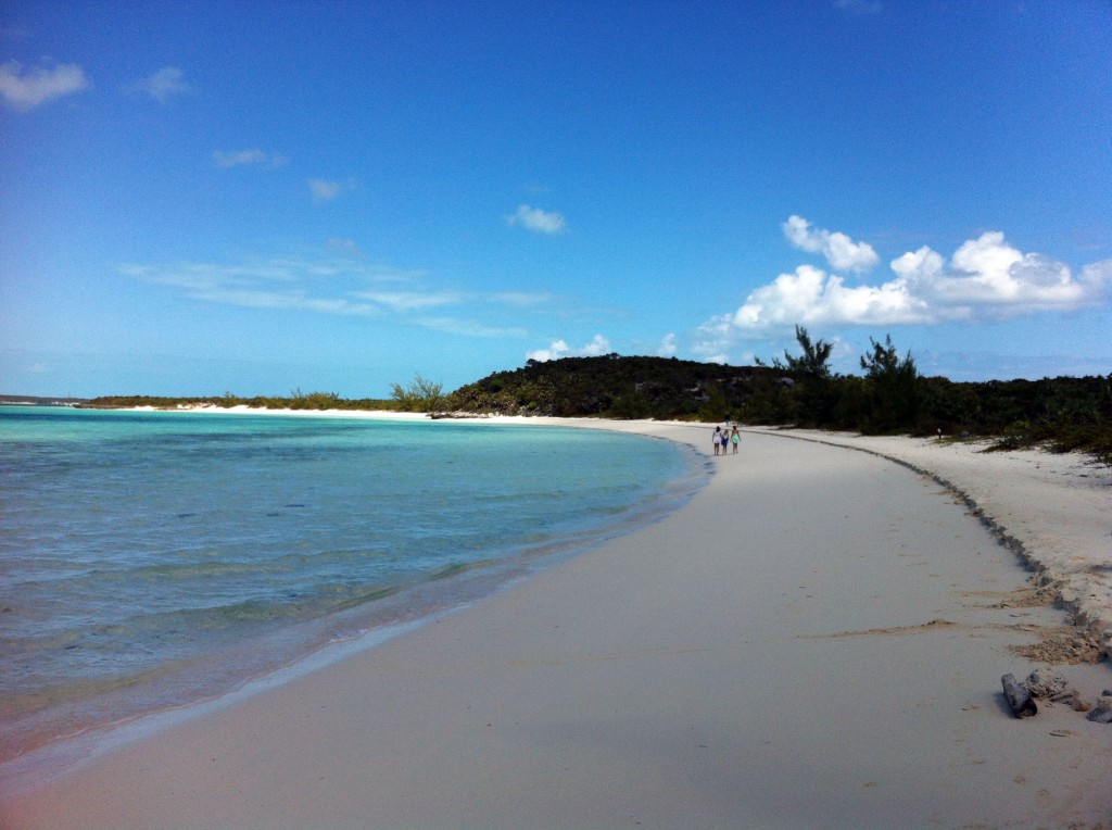 Sand Dollar Beach