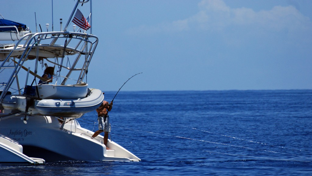 Craig reels in a mahi mahi.  I love this picture!