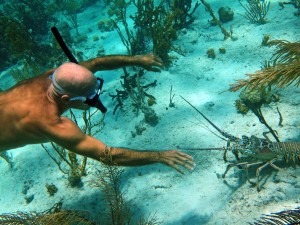 Craig bravely gets close to the giant lobsters