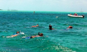 Our families snorkeling together